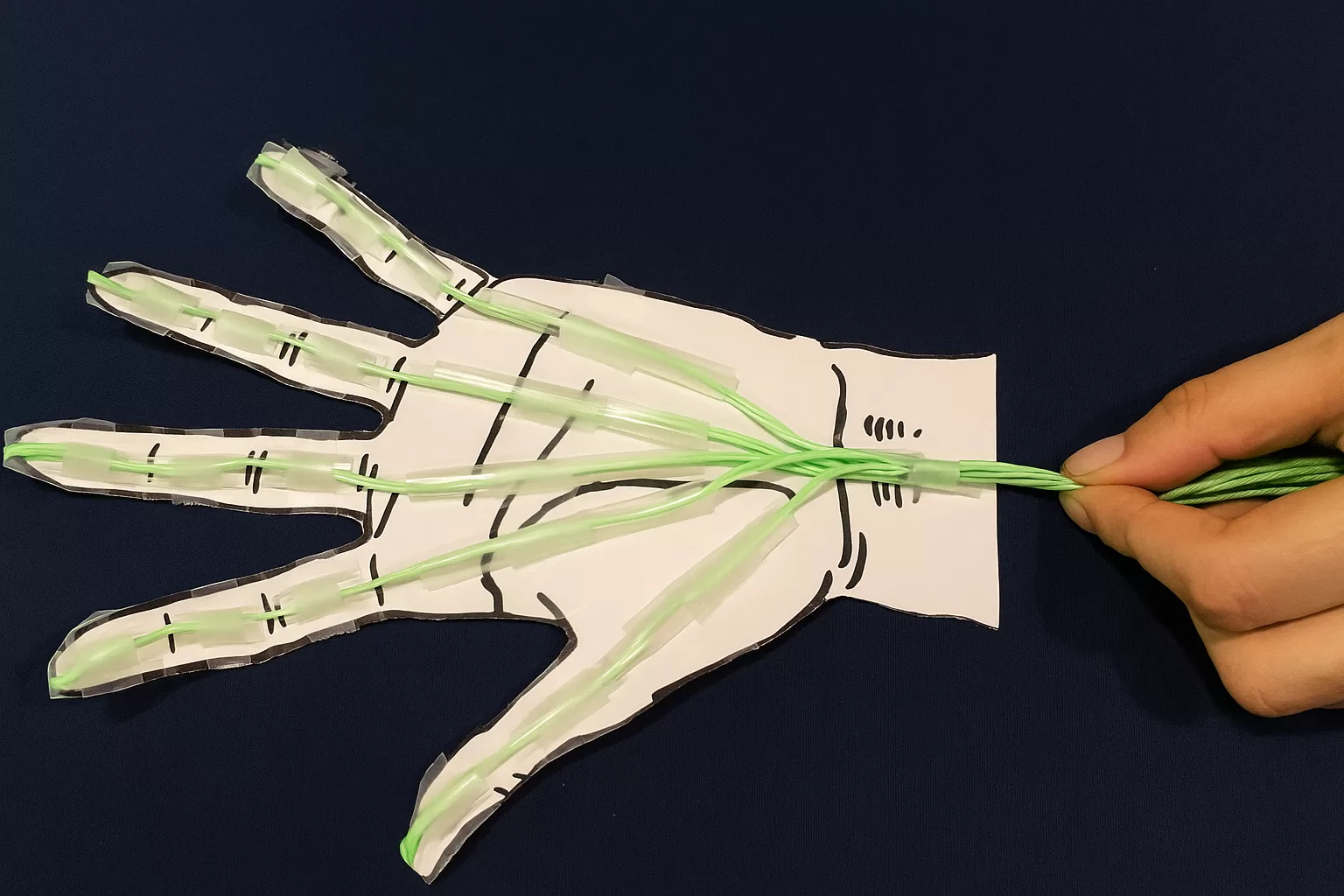 Opening the Door to Real-World Connections